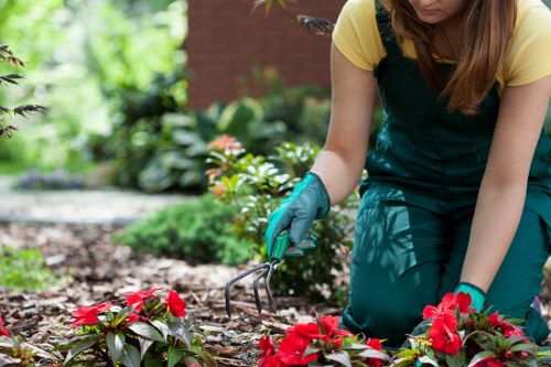Inspector examining hedge trimming work with notes