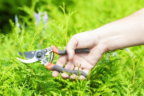 Safety equipment and organised tools for hedge trimming crew